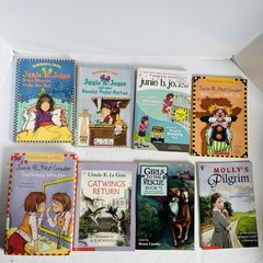 Lot of 10 Chapter Books Mixed Lot 2nd 3rd Grade Fiction Classroom Library Set