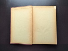 1875 Lectures On Syphilis & Local Genital Disease – Henry Lee Churchill Scarce