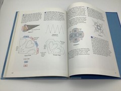 Aleene’s Prizewinning Crafts ISBN 0-8487-1536-5, Pages 143, Looks Unused