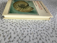The Observer’s Book of Fossils by Rhona M. Black 1977 First Edition Hardback