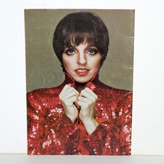 Vintage Liza Minnelli In Concert Souvenir Program 1979 1980 Broadway Theater