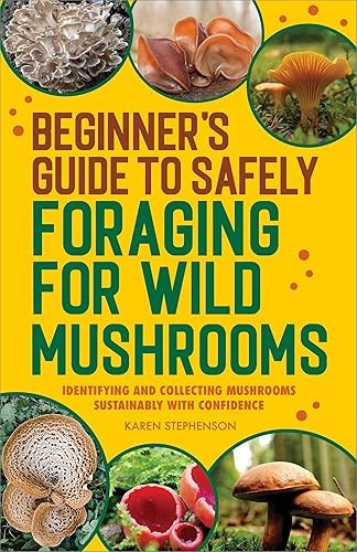 Beginner’s Guide to Safely Foraging for Wild Mushrooms: Identi…