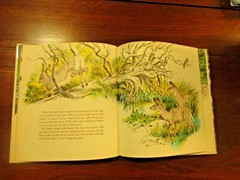 Islands Of The Tiny Deer by Julian May Illustrated by Rod Ruth Wildlife FL Keys