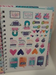 Gratitude Finder- 52 Week – Non-Dated Daily Positive – Greatitude Finder