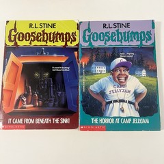 Vintage Goosebumps Book Lot of 13 R.L. Stine PB Horror Books Chapter Books Kids
