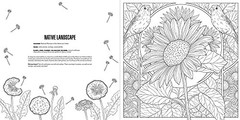 Gardens: A Smithsonian Coloring Book, Smithsonian Institution, Very Good Book