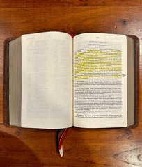 RARE: Charles Ryrie Study Bible NKJV, Premium American Bison Leather Binding