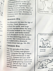 A Field Guide to Dinosaurs Coloring Book – Like New/Unused Vintage 1989 Rare PB