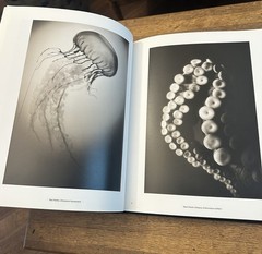 Animalia Henry Horenstein Signed Art Photography 2008 HC First Edition Italy