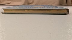 Birds and Blossoms Fidelia Bridges 1887 Gilt Victorian Gift Book Antique Beauty