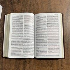 ESV Thinline Bible – ESV 2025 Text – Saddle Brown, Full Grain Genuine Leather
