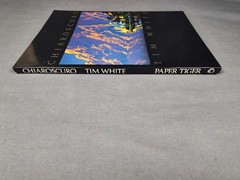 CHIAROSCURO Tim White First Edition 1988 Fantasy Sci-Fi Art Book Paper Tiger