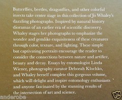 2008 THEATER of INSECTS Jo Whaley hb/128pp/ART – BUTTERFLIES – INSECTS – UNIQUE