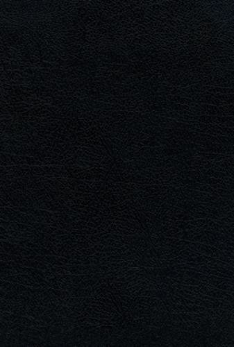 Reina Valera 1960 Santa Biblia Ultrafina Letra Grande, Piel Fabricada, Negro, In