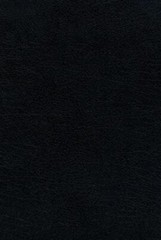 Reina Valera 1960 Santa Biblia Ultrafina Letra Grande, Piel Fabricada, Negro, In