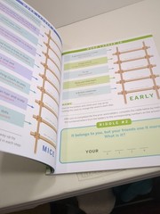 Step-By-Step Word Ladder Challenge Workbook Grades 4-5 Michelle Gajda Pre-owned