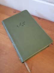 The Holy Bible New American Standard NASB Holman Olive Green Leather Touch 8.5″