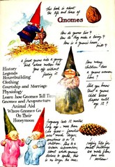 Gnomes Wil Huygen Rien Poortvliet Vintage 1977 Hardcover Harry N Abrams
