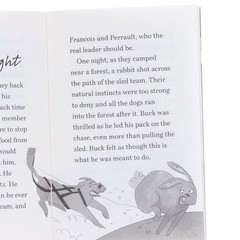 The Children’s Easy Classics Collection 10 Books Box Set – Ages 7-9 – Paperback
