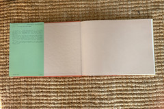 Nick Waplington Living Room Berger Avedon Hardcover Dust Jacket 1st Edition 1991
