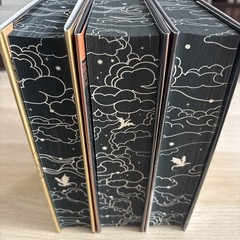 Waterstones Fourth Wing Iron Flame & Onyx Storm Rebecca Yarros