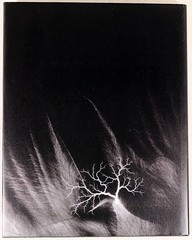 Hiroshi Sugimoto Nature of Light Hardcover Photography Book 11.8×9.5in