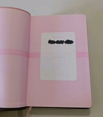 Rare „Holy Bible Gift & Award Edition” New Living Translation Softcover Pink
