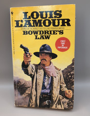 Louis Lamour Lot Of 10 Western Titles Various Age And Conditions See Photos