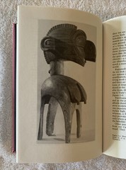 Image and Insight Spitz, Ellen Handler Hardcover Collectible – Very Good