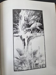 The Dinosaurs William Stout HC Book Signed Artists Proof Numbered 543/1000 1981