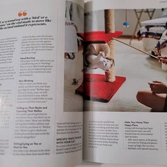 Paw Print Magazine Why We Love Cats – A Powerful Bond March 2023 EUC