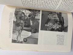 YORUBA RITUAL: PERFORMERS, PLAY, AGENCY By Margaret Thompson Drewal PB 1992