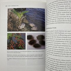 Botany for Gardeners 3rd Edition Brian Capon Paperback 2010