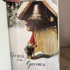 1st/1st Ed Secrets of the Gnomes Wil Huygen & Rien Poortvliet 1982 HCDJ Book