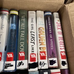 Lot of 24 Young Adults ex-library hardcover fiction mixed autors