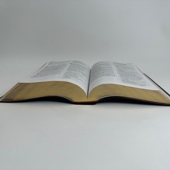 Holy Bible Tyndale TBN Parallel KJV NLT Burgundy Gold Gilt Special Edition Study