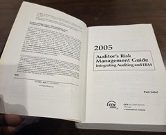 Auditor’s Risk Management Guide: Integrating Auditing and ERM (2005)