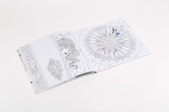 The Time Chamber: A Magical Story and Coloring Book (Time Adult Coloring Books),
