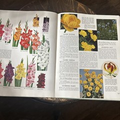The Complete Guide to Garden Flowers, 1961, Hardcover