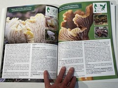 The Forager’s Guide to Wild Foods Book By Nicole Apelian, 2021 North American Ed