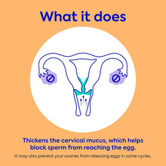 Daily Oral Birth Control Pills, Over-The-Counter Progestin-Only Contraceptive,
