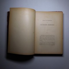N25.4 Misery Size Humanity Primitive 1889 Illustrated Anthropology Mrs. Meunier