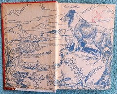 Lassie Trouble At Painter’s Lake By Steve Frazee 1972 Hardcover 210 Pages