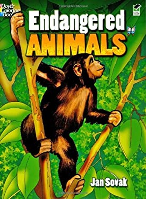Endangered Animals Paperback Jan Sovak