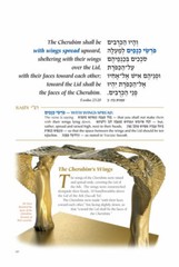 Artscroll The Illustrated Mishkan Tabernacle Its Structure, Vessels & Garments