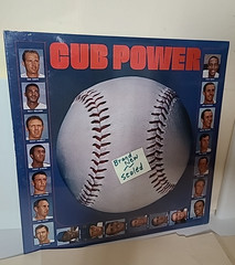 Ballpark of BASEBALL BOOKS and Recordings TEAMS Cubs LA pirates Red Sox Senators