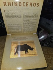 Dan Kainen Carol Kaufmann Safari: A Photicular Book HC Workman 1st Ed 2012