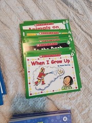41 Scholastic Little Readers Books Level C-D, G-H Kindergarten 2nd Grade Phonic