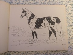 Crazy Quilt: A Story of A Piebald Pony, Illustrated, Paul Brown 1934