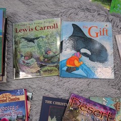 Bulk Lot of Mixed Books Various Authors & Genres Childhood Homeschool Learning